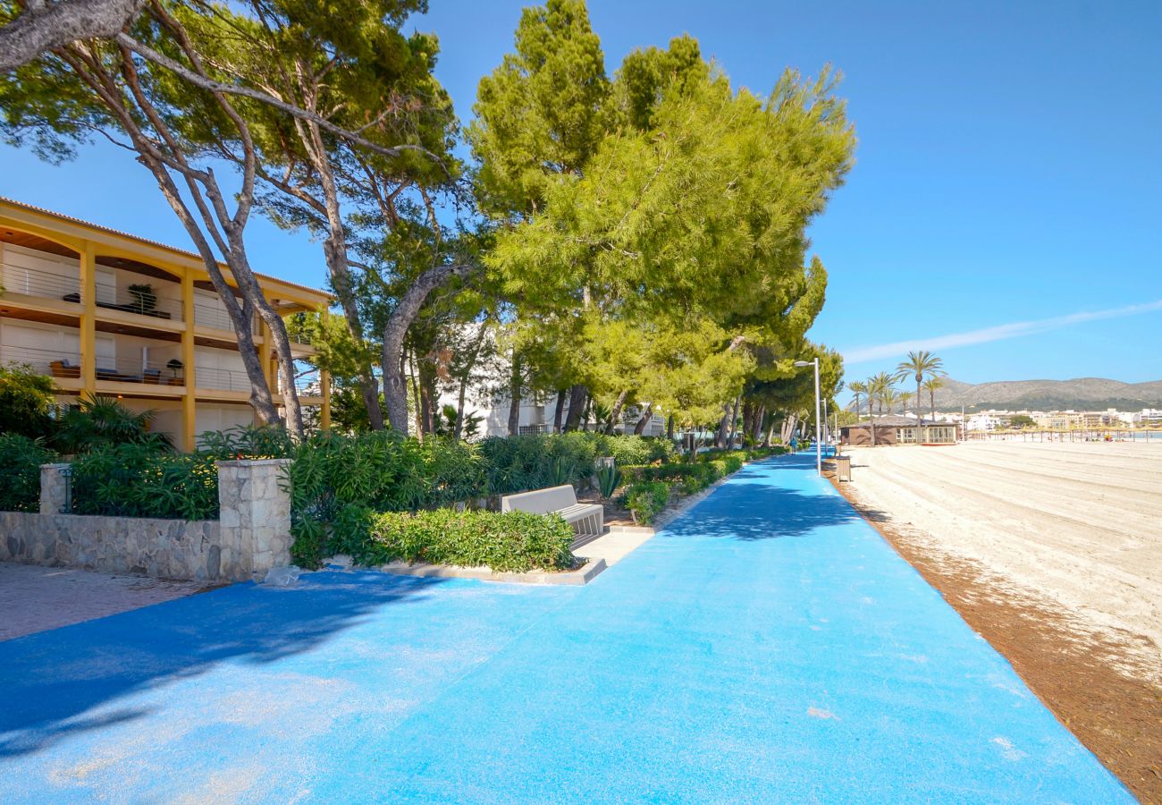 Apartment in Alcudia - Minerva Dream Attic