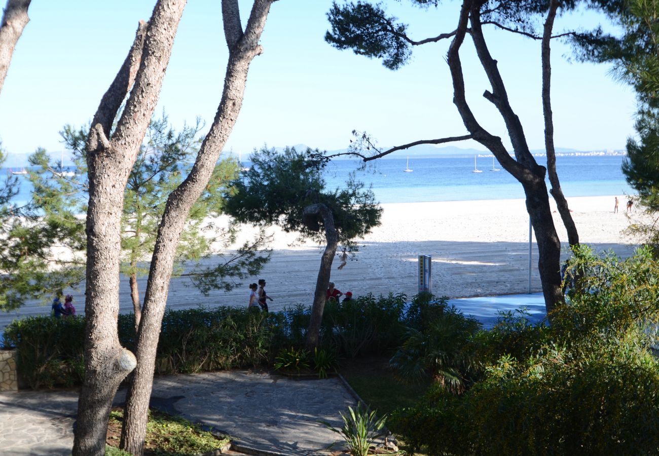 Apartment in Alcudia - Minerva Dream Attic