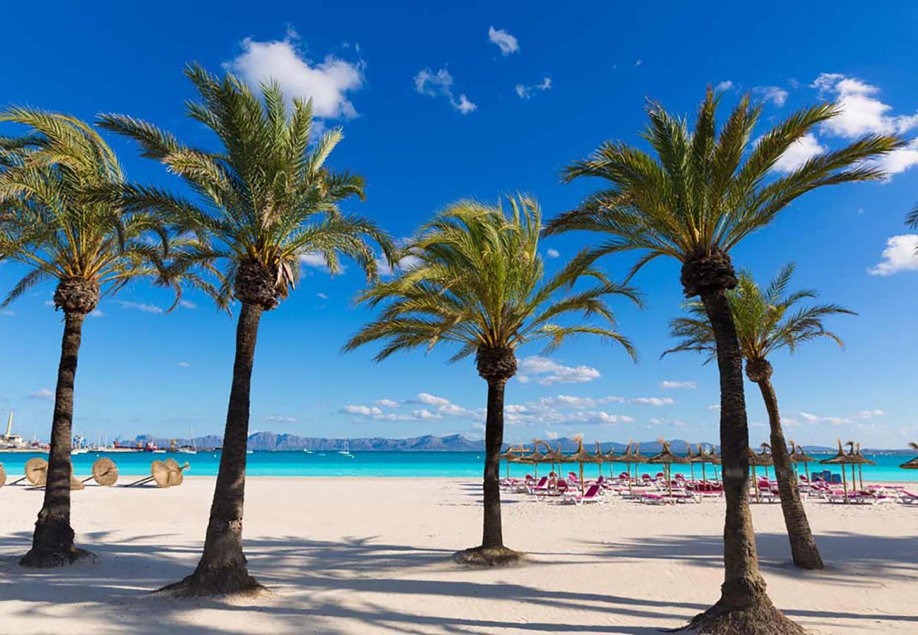 Апартаменты на Port d´ Alcudia - Apartament Blue View