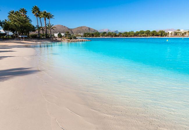 Апартаменты на Port d´Alcudia - Apartamento Portobello Апартаменты на Port d´Alcudia - Apartamento Portobello