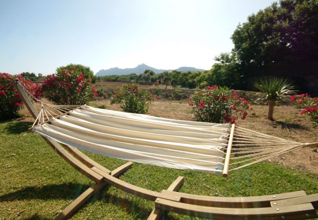 Вилла на Alcúdia - Villa Barcares Petit, pool & sea Вилла на Alcúdia - Villa Barcares Petit, pool & sea