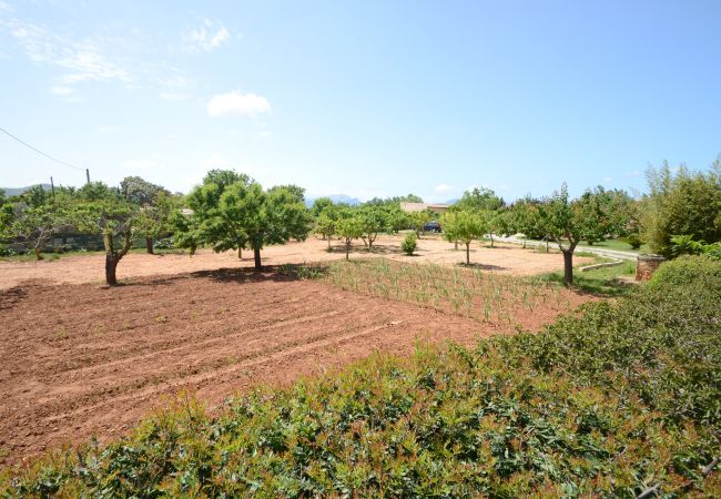 Вилла на Alcúdia - Finca Can Pau Вилла на Alcúdia - Finca Can Pau