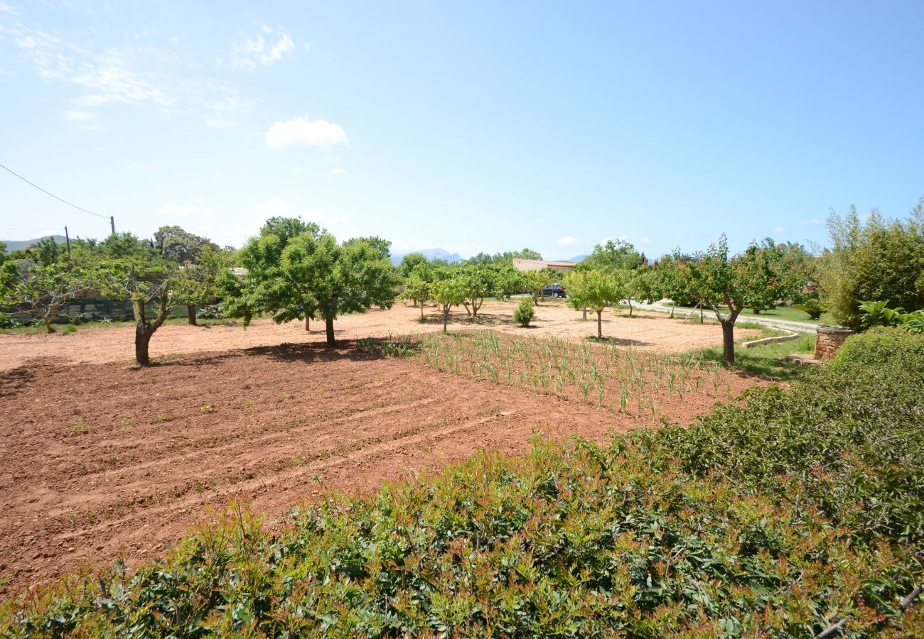 Вилла на Алькудия / Alcudia - Finca Can Pau