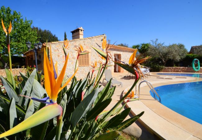 Вилла на Inca - Finca Can Rovell Вилла на Inca - Finca Can Rovell