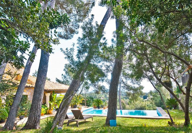 Вилла на Inca - Finca Son Duri Вилла на Inca - Finca Son Duri