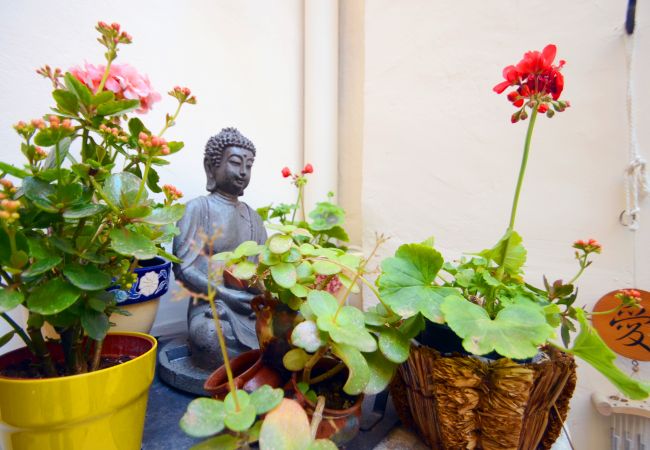 Дом на Alcúdia - Casa Sant Vicenç Дом на Alcúdia - Casa Sant Vicenç