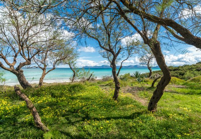 Вилла на Playa de Muro - Casa Natura Park House Вилла на Playa de Muro - Casa Natura Park House