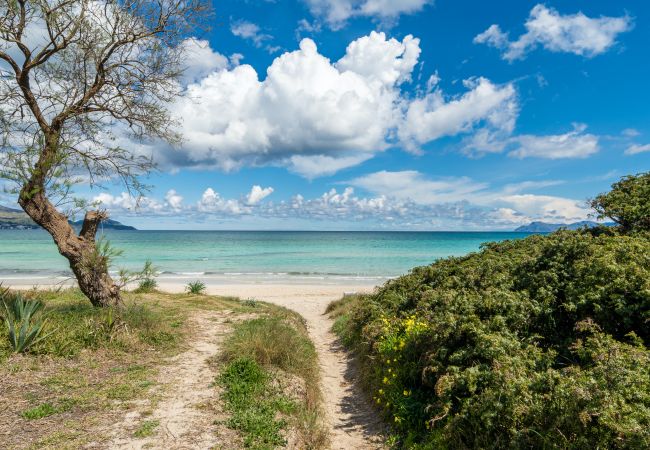 Вилла на Playa de Muro - Casa Natura Park House Вилла на Playa de Muro - Casa Natura Park House