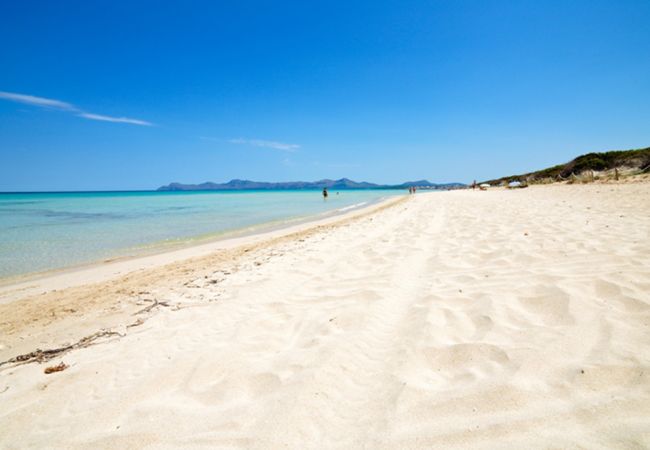 Апартаменты на Алькудия / Alcudia - Apartamento Oiza Sand Castle 24 Апартаменты на Алькудия / Alcudia - Apartamento Oiza Sand Castle 24