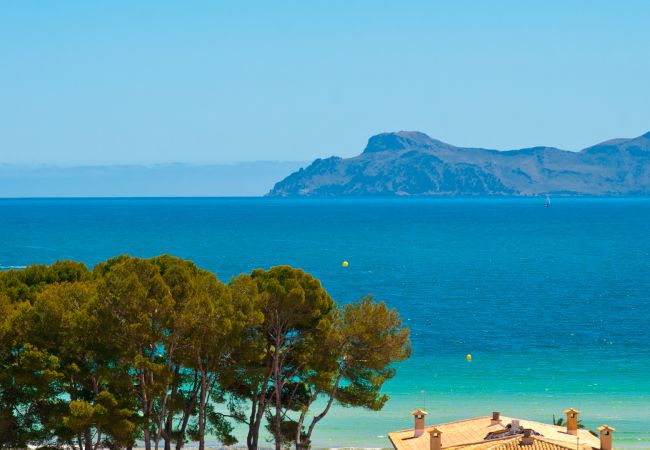 Апартаменты на Alcúdia - Apartamento The Shell 2 Апартаменты на Alcúdia - Apartamento The Shell 2