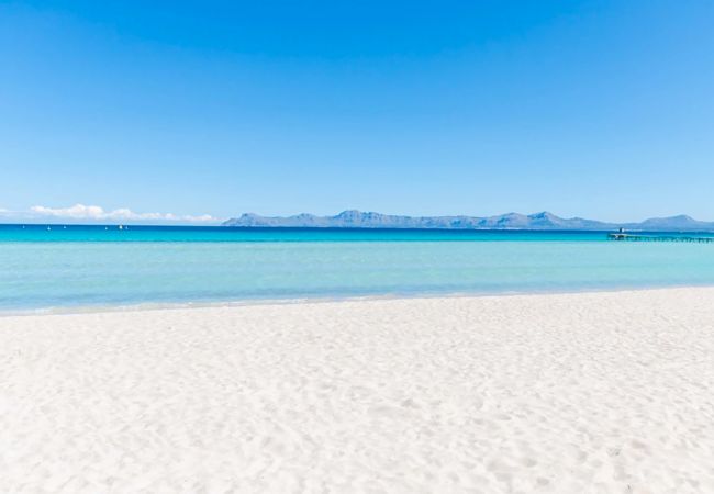 Апартаменты на Alcúdia - Apartamento The Shell 2 Апартаменты на Alcúdia - Apartamento The Shell 2