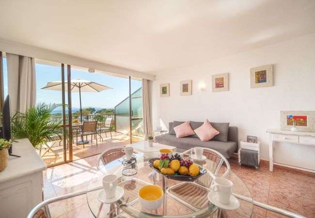 Апартаменты на Alcúdia - Apartamento The Shell 2 Апартаменты на Alcúdia - Apartamento The Shell 2