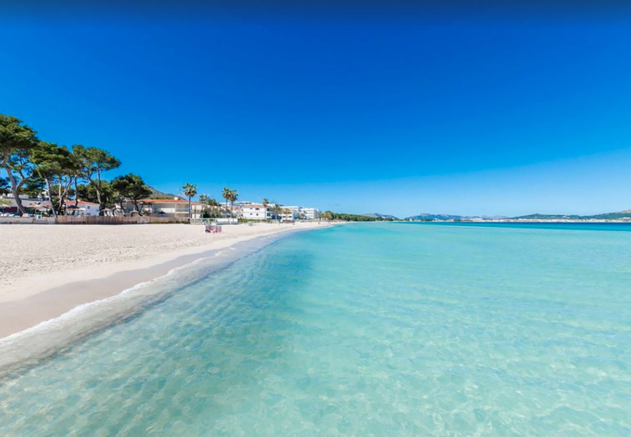 Апартаменты на Алькудия / Alcudia - Apartamento Concha