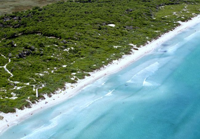 Вилла на Selva - Finca Son Macia de Selva Вилла на Selva - Finca Son Macia de Selva