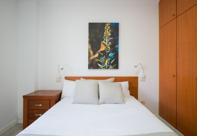 Дом на Las Palmas de Gran Canaria - Penthouse+Terrace city seaview By CanariasGetaway  Дом на Las Palmas de Gran Canaria - Penthouse+Terrace city seaview By CanariasGetaway