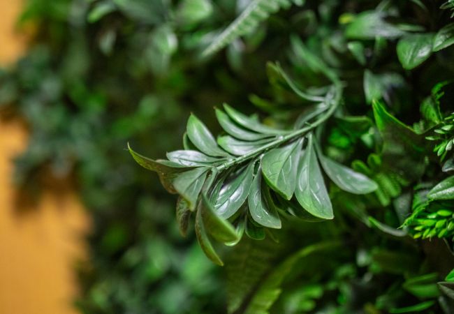 Дом на Las Palmas de Gran Canaria - Bolivar cute home By CanariasGetaway Дом на Las Palmas de Gran Canaria - Bolivar cute home By CanariasGetaway