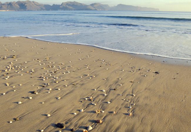 Вилла на Alcúdia - Pou den Brux Вилла на Alcúdia - Pou den Brux