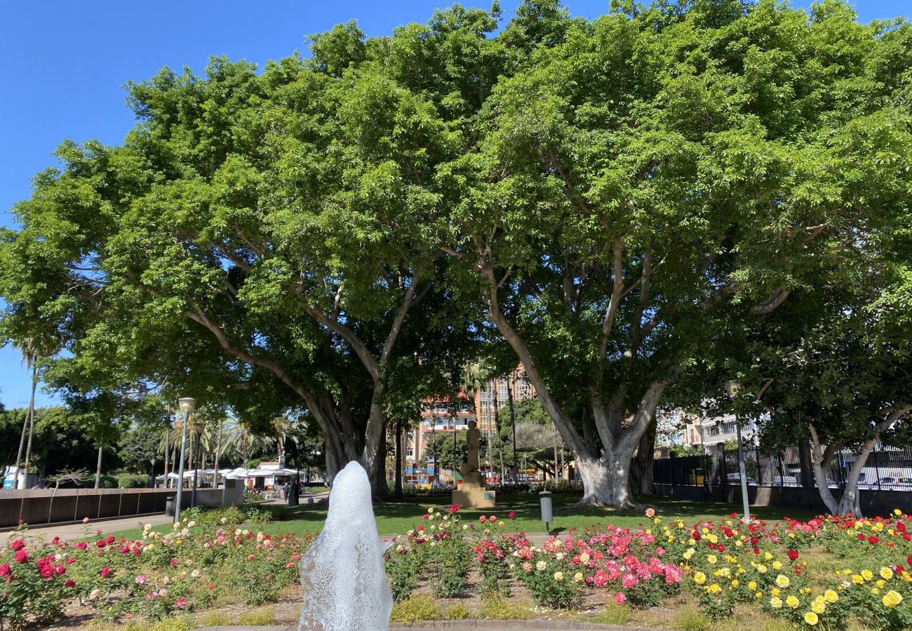 Квартира-студия на Лас Пальмас де Гран Канариа / Las Palmas de Gran Canaria - Fancy & Stylish studio by Canarias Getaway