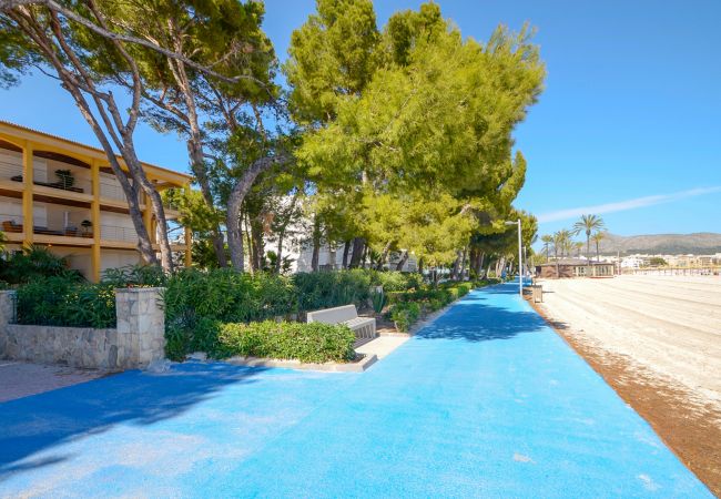 Ferienwohnung in Alcúdia - Minerva Dream Attic Ferienwohnung in Alcúdia - Minerva Dream Attic