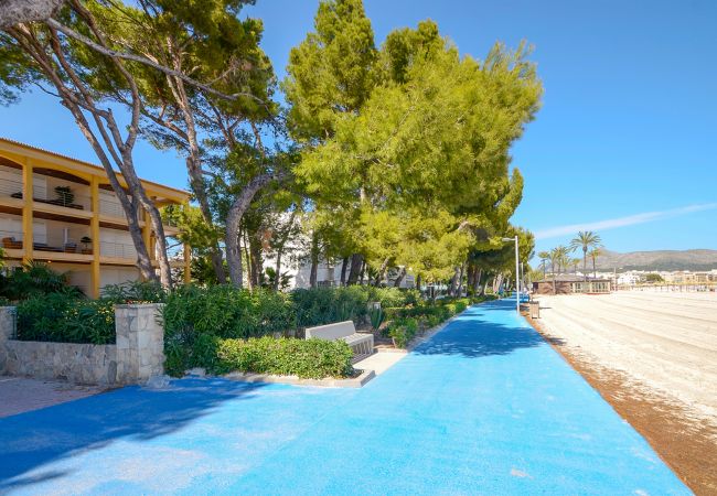Ferienwohnung in Alcúdia - Minerva Dream Garden Ferienwohnung in Alcúdia - Minerva Dream Garden