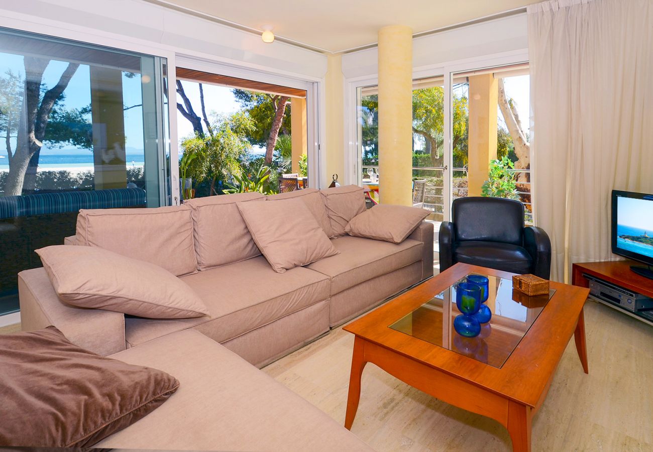 Ferienwohnung in Alcúdia - Minerva Dream Garden Ferienwohnung in Alcúdia - Minerva Dream Garden